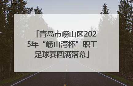 青岛市崂山区2025年“崂山湾杯”职工足球赛圆满落幕