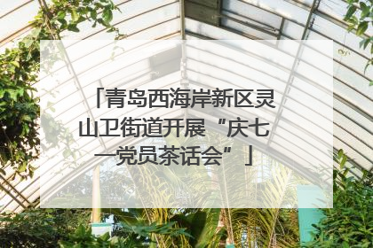 青岛西海岸新区灵山卫街道开展“庆七一党员茶话会”