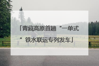 青藏高原首趟“一单式”铁水联运专列发车