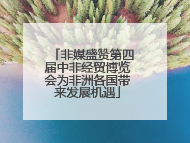 非媒盛赞第四届中非经贸博览会为非洲各国带来发展机遇