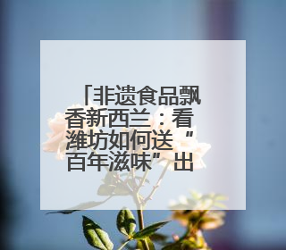 非遗食品飘香新西兰：看潍坊如何送“百年滋味”出海