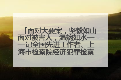 面对大要案，坚毅如山面对被害人，温婉如水——记全国先进工作者、上海市检察院经济犯罪检察部主任马玮玮