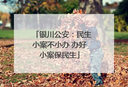 银川公安：民生小案不小办 办好小案保民生