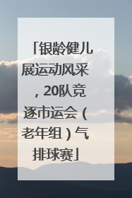 银龄健儿展运动风采，20队竞逐市运会（老年组）气排球赛
