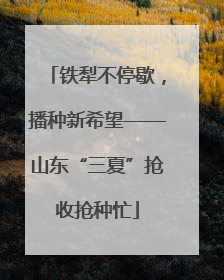 铁犁不停歇，播种新希望——山东“三夏”抢收抢种忙