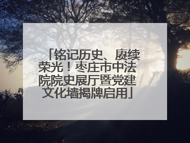 铭记历史、赓续荣光！枣庄市中法院院史展厅暨党建文化墙揭牌启用