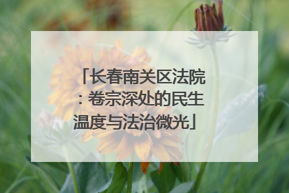 长春南关区法院：卷宗深处的民生温度与法治微光