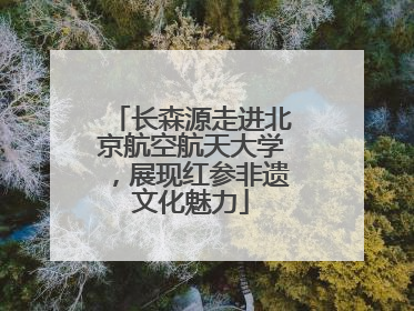 长森源走进北京航空航天大学，展现红参非遗文化魅力