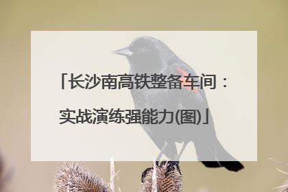 长沙南高铁整备车间：实战演练强能力(图)