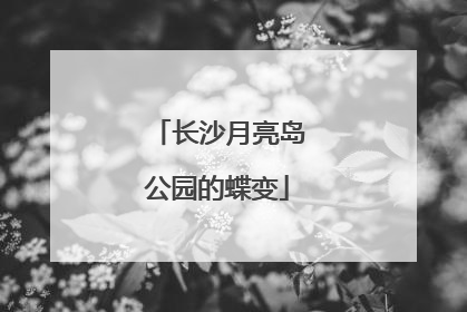 长沙月亮岛公园的蝶变