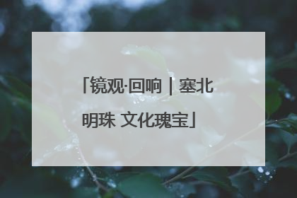 镜观·回响｜塞北明珠 文化瑰宝