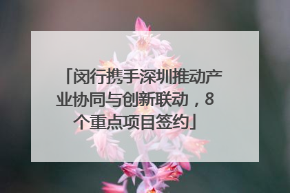 闵行携手深圳推动产业协同与创新联动，8个重点项目签约