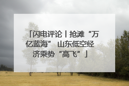 闪电评论丨抢滩“万亿蓝海” 山东低空经济乘势“高飞”