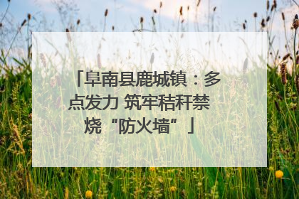 阜南县鹿城镇：多点发力 筑牢秸秆禁烧“防火墙”