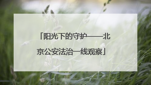 阳光下的守护——北京公安法治一线观察