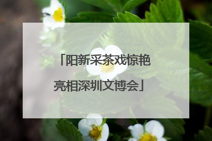 阳新采茶戏惊艳亮相深圳文博会