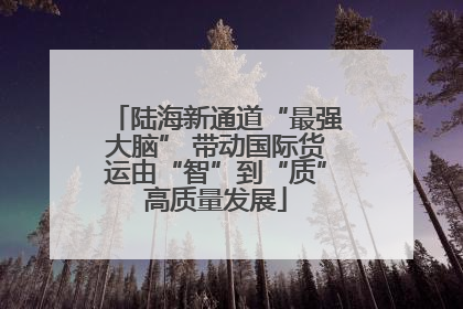陆海新通道“最强大脑” 带动国际货运由“智”到“质”高质量发展