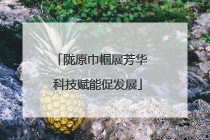 陇原巾帼展芳华 科技赋能促发展
