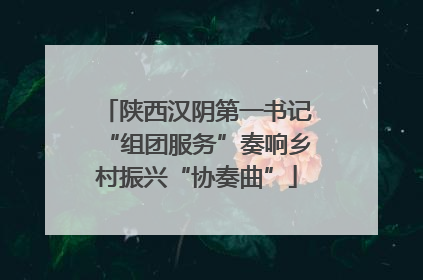 陕西汉阴第一书记“组团服务”奏响乡村振兴“协奏曲”
