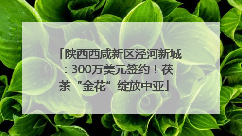 陕西西咸新区泾河新城：300万美元签约！茯茶“金花”绽放中亚