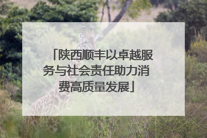 陕西顺丰以卓越服务与社会责任助力消费高质量发展