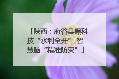 陕西：府谷县黑科技“水利全开” 智慧脑“精准防灾”