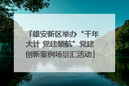 雄安新区举办“千年大计 党建领航”党建创新案例场景汇活动