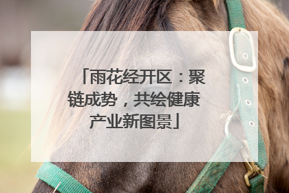 雨花经开区：聚链成势，共绘健康产业新图景