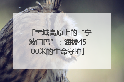雪域高原上的“宁波门巴”：海拔4500米的生命守护