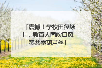 震撼！学校田径场上，数百人同吹口风琴共奏葫芦丝