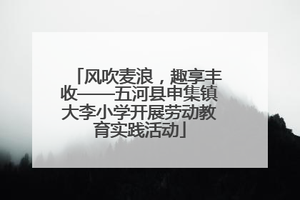 风吹麦浪，趣享丰收——五河县申集镇大李小学开展劳动教育实践活动