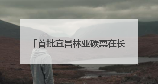 首批宜昌林业碳票在长阳正式签发 14.38万吨林业碳票上市
