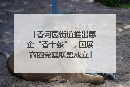 香河园街道推出惠企“香十条”，国展商圈党建联盟成立