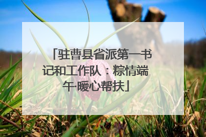驻曹县省派第一书记和工作队：粽情端午·暖心帮扶