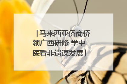 马来西亚侨商侨领广西研修 学中医看非遗谋发展