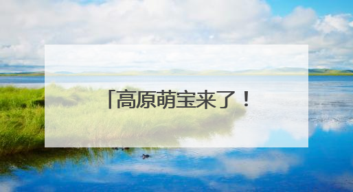 高原萌宝来了！若尔盖湿地首批黑颈鹤雏鸟破壳