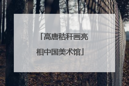 高唐秸秆画亮相中国美术馆