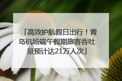 高效护航假日出行！青岛机场端午假期旅客吞吐量预计达21万人次