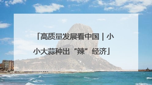 高质量发展看中国｜小小大蒜种出“辣”经济