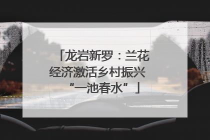 龙岩新罗：兰花经济激活乡村振兴“一池春水”