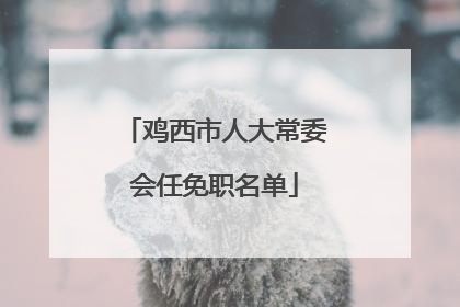 鸡西市人大常委会任免职名单