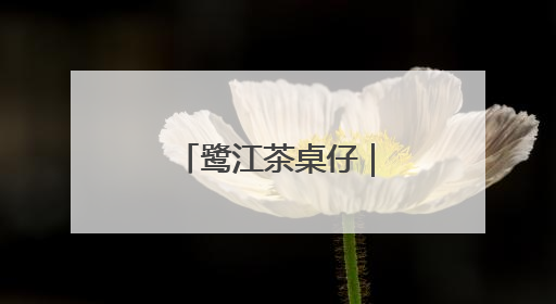 鹭江茶桌仔｜让赏花经济“四季花开”