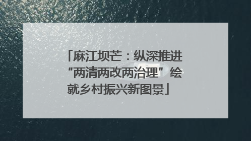 麻江坝芒：纵深推进“两清两改两治理”绘就乡村振兴新图景