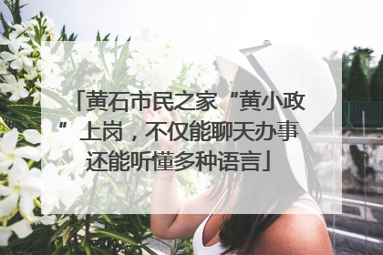 黄石市民之家“黄小政”上岗，不仅能聊天办事还能听懂多种语言