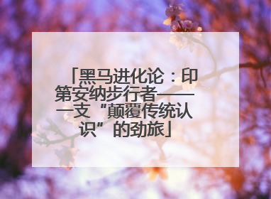 黑马进化论：印第安纳步行者——一支“颠覆传统认识”的劲旅