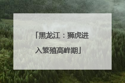黑龙江：狮虎进入繁殖高峰期