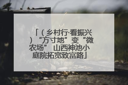 （乡村行·看振兴）“方寸地”变“微农场” 山西神池小庭院拓宽致富路