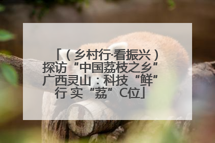 （乡村行·看振兴）探访“中国荔枝之乡”广西灵山：科技“鲜”行 实“荔”C位