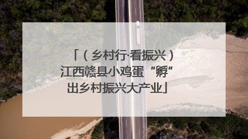 （乡村行·看振兴）江西赣县小鸡蛋“孵”出乡村振兴大产业