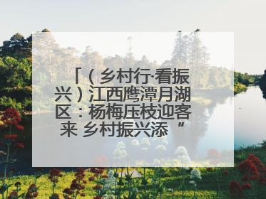 （乡村行·看振兴）江西鹰潭月湖区：杨梅压枝迎客来 乡村振兴添“梅”景